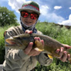 Meet your Posher, Ryan